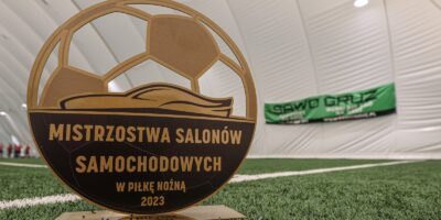Misrzostwa Salonów Samochodowych